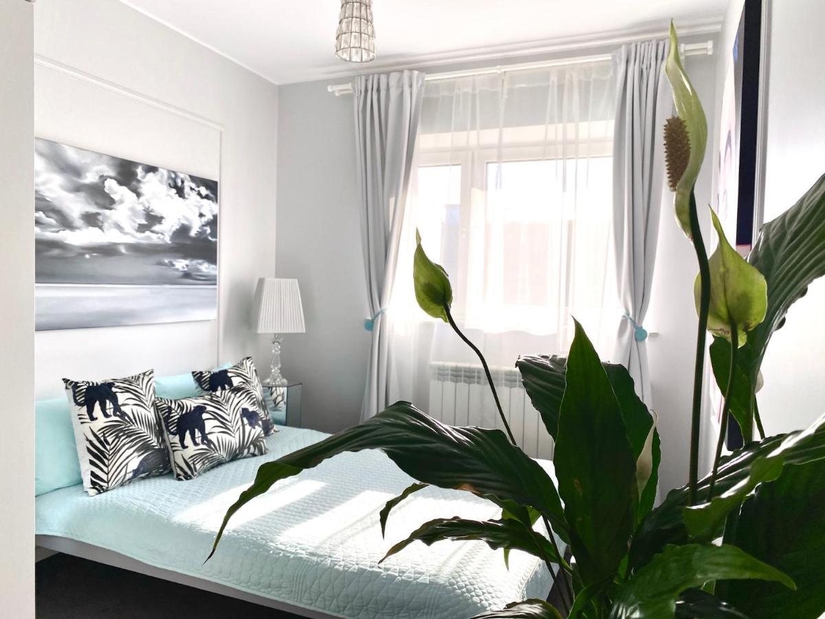 Dream Boutique Apartment 42M2 In The Heart Of Cracow Old Town Kraków Exteriör bild
